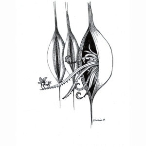 Pen Drawing