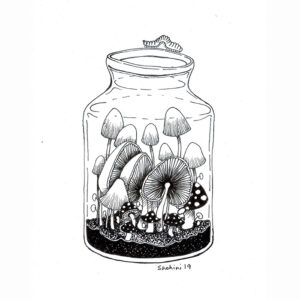 Pen Drawing