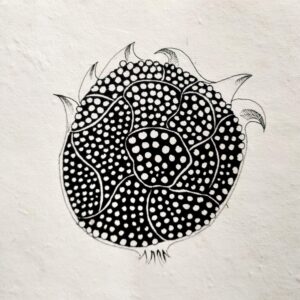 Pen Drawing