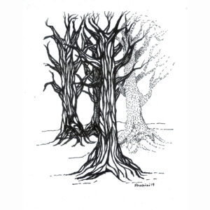 Pen Drawing