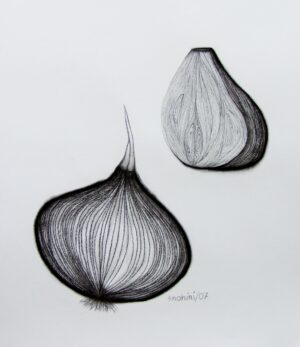 Charcoal & Conte