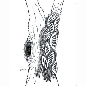 Pen Drawing
